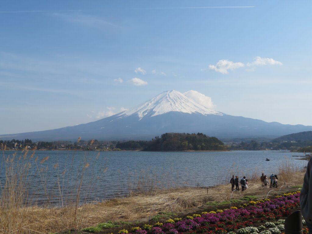河口湖畔の富士