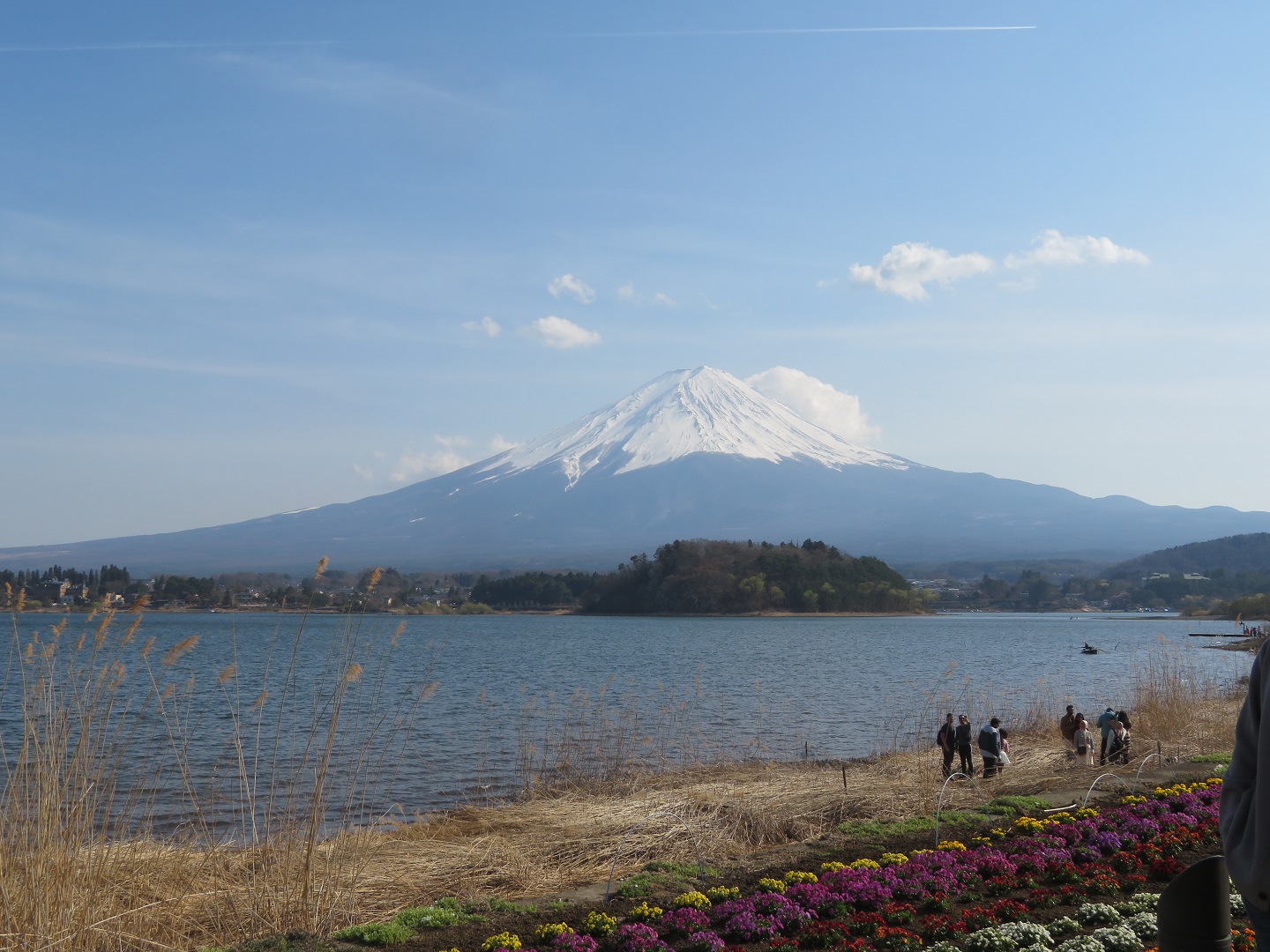 河口湖畔の富士